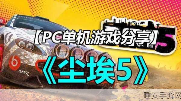 尘埃5赛道霸主养成,深度驾驶技巧与实战心得揭秘