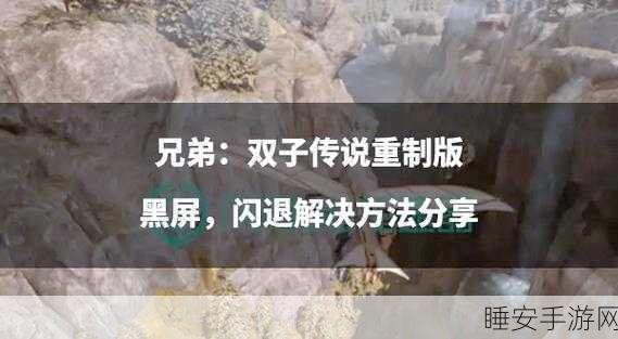 手游兄弟双子传说P13卡顿崩溃?解决方案大揭秘!