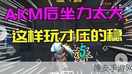 香肠派对深度解析,AKM枪械伤害梯度揭秘,助你精准制敌