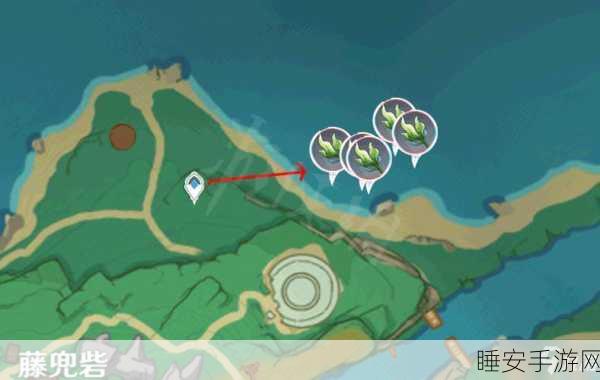 原神海草大揭秘,精准位置与绝佳采集路线指南