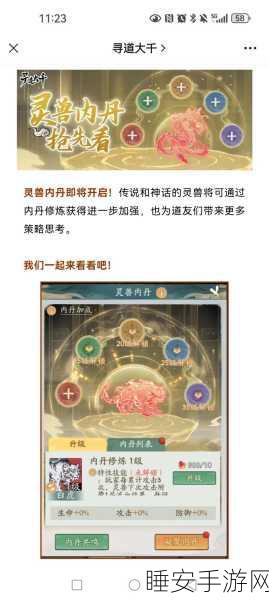 手游攻略大揭秘,冰心灵兽养成攻略与加点策略深度剖析