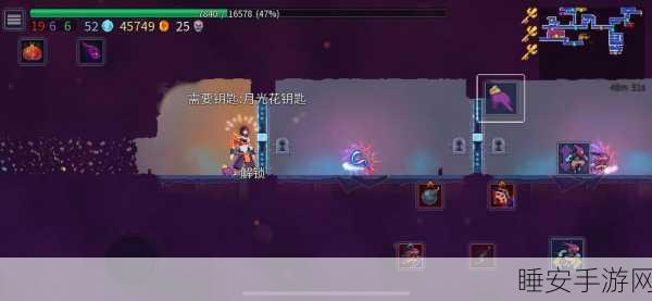重生细胞,揭秘月光花钥匙获取攻略与墓地白花探险全记录