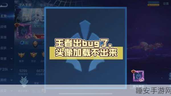 vivo L用户遭遇困扰,王者荣耀荣耀时刻录像功能无法使用?