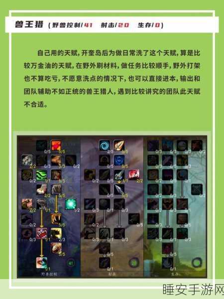魔兽世界,兽王猎人天赋抉择秘籍
