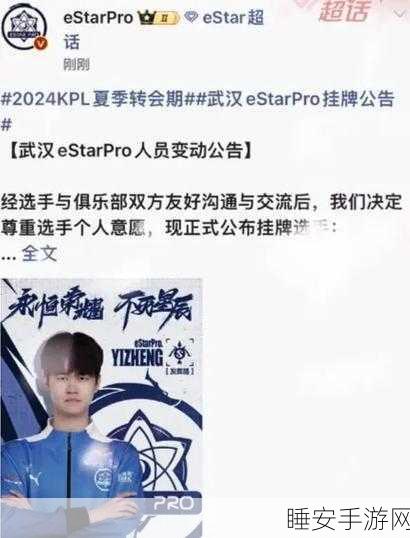 王者荣耀明星选手峥峥,性别之谜与赛场辉煌揭秘
