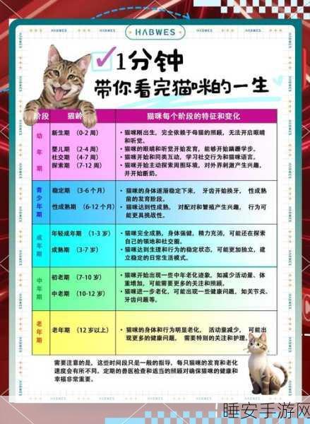 和平精英家园新玩法,萌宠猫咪养成攻略