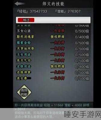 放置江湖深度探索，揭秘五转门派比武大会的奇幻之旅