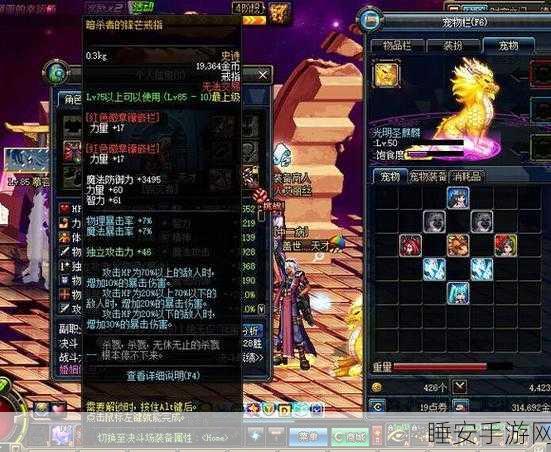 DNF顶级戒指揭秘,探寻游戏中的戒指之王