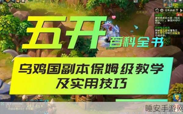 梦幻西游攻略,揭秘乌鸡国5人高效刷本技巧