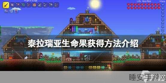 泰拉瑞亚探索指南,揭秘生命果的神秘外观与获取攻略