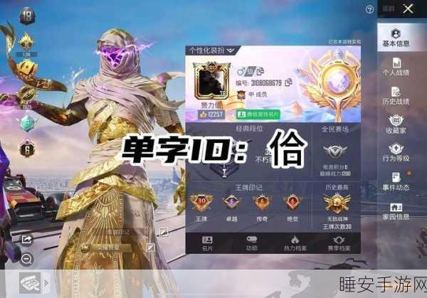 和平精英高手秘籍,轻松解锁ID复制技巧,助你战场称雄!
