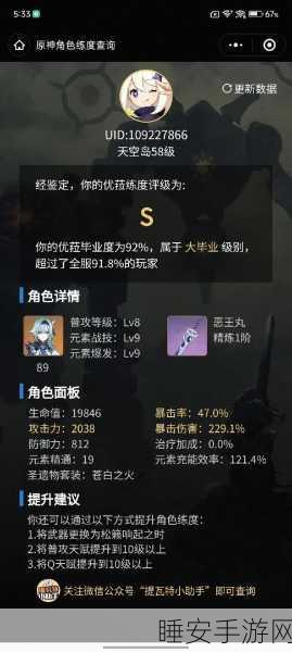 原神恶王丸实战攻略,技能解析、技巧运用与高效阵容搭配