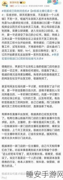 极越迪拜员工深陷危机,苦寻总部支援,探寻危机根源