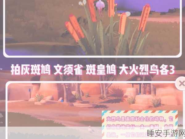 心动小镇火烈鸟追踪大赛,揭秘绝美栖息地,赢取限定奖励!