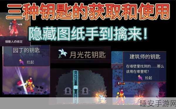 重生细胞深度攻略,揭秘月光花钥匙的高效获取路径
