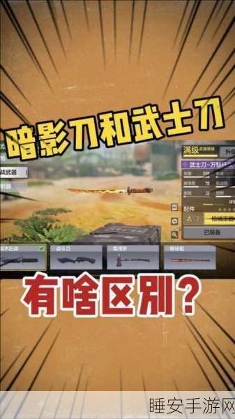 使命召唤手游攻略,揭秘免费获取武士刀的绝密途径