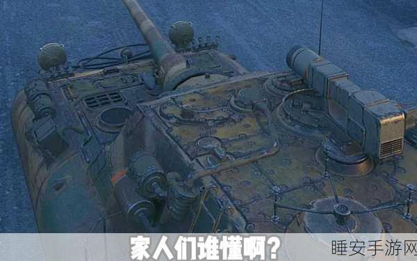 坦克世界，白云与白兔的身世之谜，历史计划探寻