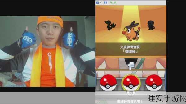 揭秘口袋妖怪白2,探索古代秘道,捕捉稀有精灵大挑战!