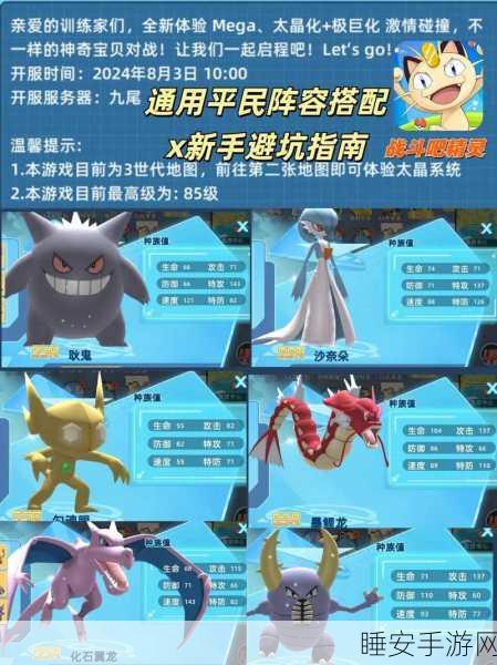 口袋妖怪,打造无敌战队,征服全国大赛全攻略