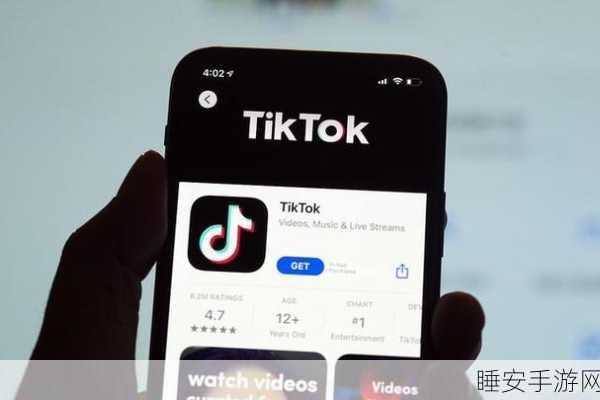 TikTok 非售即禁禁令维持，Meta 成赢家？背后真相惊人！