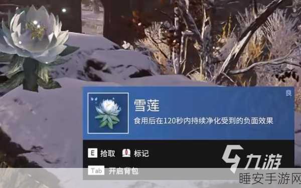 永劫无间珍稀资源攻略,雪莲与沙叻采集点大揭秘