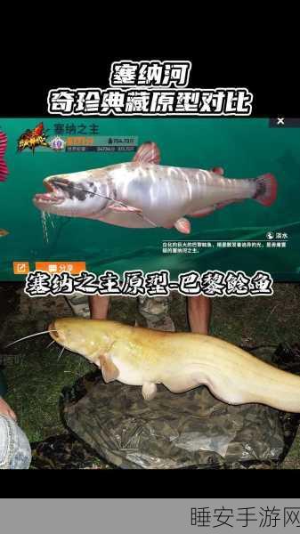 揭秘欢乐钓鱼大师终极图鉴，最后一条神秘鱼种大曝光！