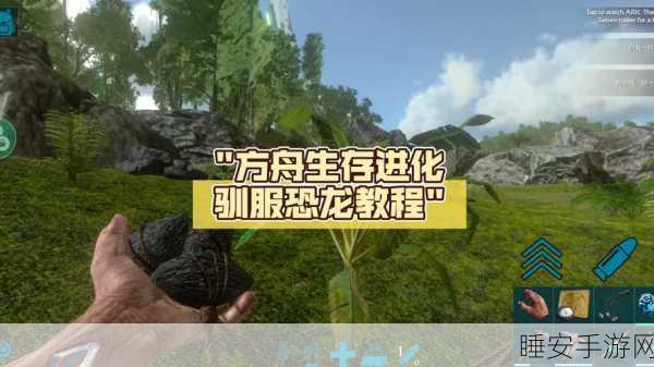 手游新攻略，方舟生存进化深度解析，掌握无齿翼龙驯养绝技