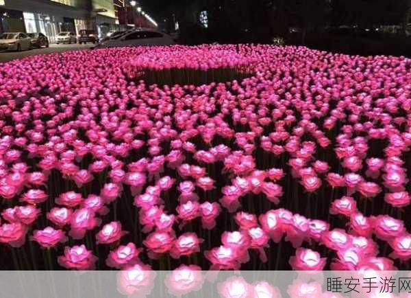 探秘刺激战场,玫瑰花海的神秘所在