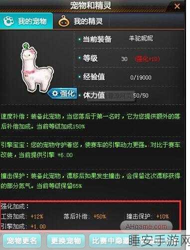 QQ飞车,揭秘精品宠物代码,赛场炫酷升级攻略