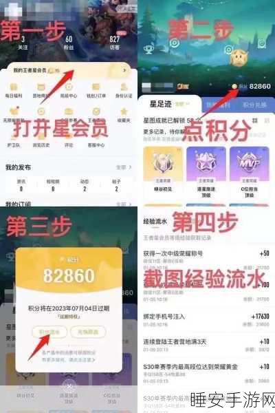 王者荣耀星会员独家揭秘,快速找到入口,解锁专属荣耀!