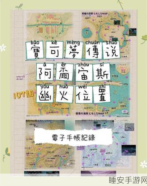 口袋妖怪黑白版,揭秘学习机全隐藏位置,助你探险无忧!