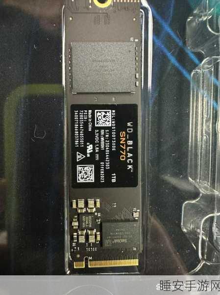 西部数据全新 SanDisk 和 WD_BLACK 系列存储产品震撼登场