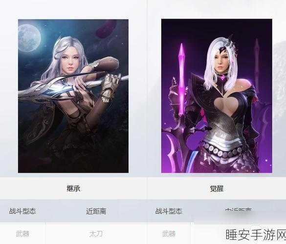 黑色沙漠手游,深度探秘丰富职业