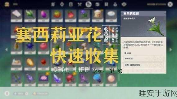 原神塞西莉亚花全攻略,最佳采集位置与高效采集技巧