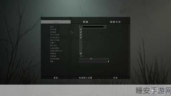 Steam热门游戏逃生2无法启动?全面解决方案助你畅玩!