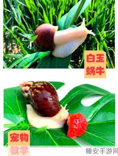 探秘最强蜗牛,绿色贵重物品全解析与珍稀度排行