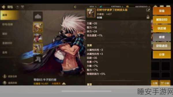 DNF手游巅峰对决,物理VS魔法,揭秘属性伤害的终极奥秘