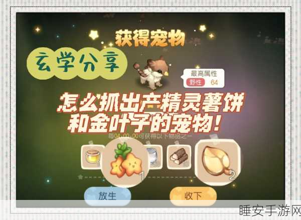 奥比岛手游宠物跟随秘籍,打造你的专属萌宠小队!