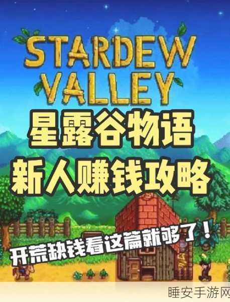 星露谷物语致富秘籍,揭秘月入百万的高效策略