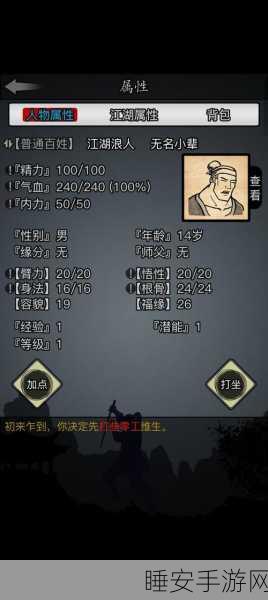 放置江湖锻造攻略，解锁核心价值，打造高效管理秘籍