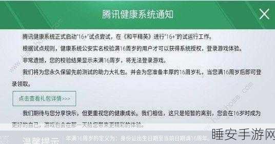 和平精英体验服未成年防沉迷系统全面解析,守护成长,健康游戏