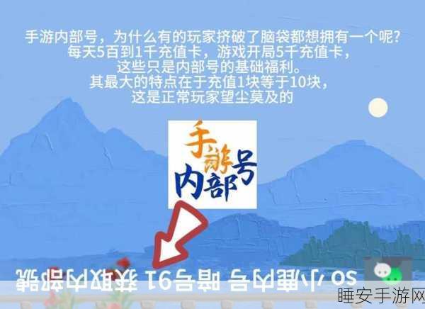 咸鱼之王神杯传球特训深度解析,精准策略、实战技巧与夺冠之路