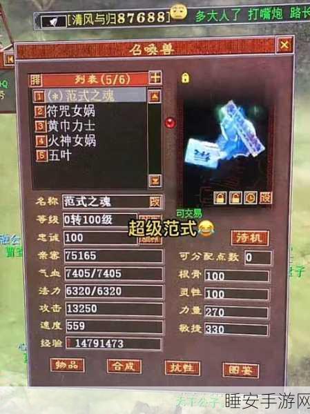 深度解析，大话西游范式卡满修正实战攻略与奥秘揭秘