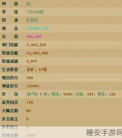 深度解析，大话西游范式卡满修正实战攻略与奥秘揭秘