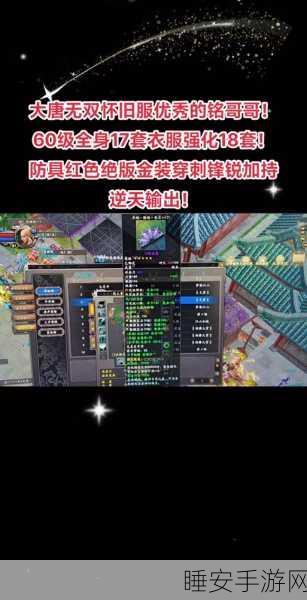 手游资讯,大唐无双深度攻略,装备强化秘籍与40级首饰套装全解析