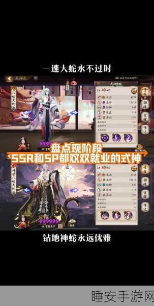 阴阳师SSR深度剖析,揭秘SSR与非SSR角色的魅力对决