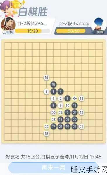 太极熊猫段位系统全解析,攀登荣耀之巅的阶梯