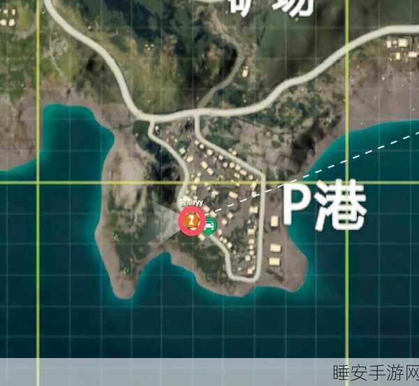 和平精英多利鸟,解锁海岛地图隐藏彩蛋与战术优势的秘密