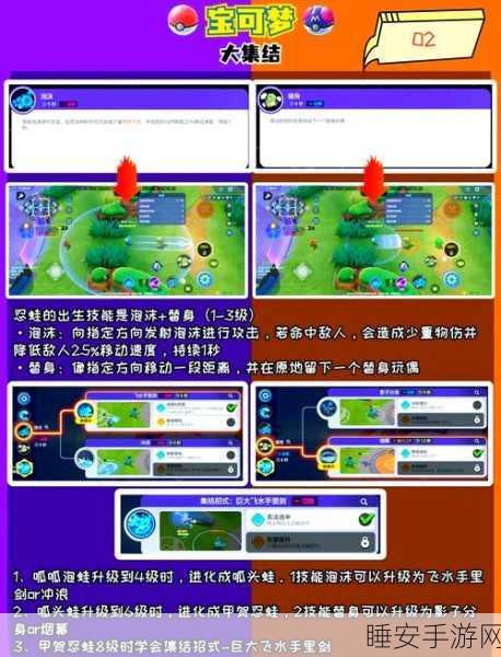 宝可梦大集结深度攻略,甲贺忍蛙顶尖装备搭配与实战战术揭秘