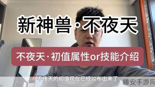 大话西游2兽装精选指南,解锁战斗新境界